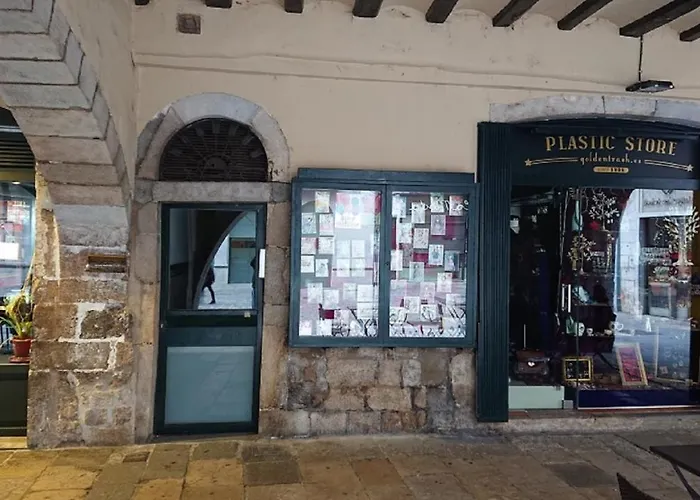 Bravissimo Placa Del Vi, Authentic Historic Apartment Gerona